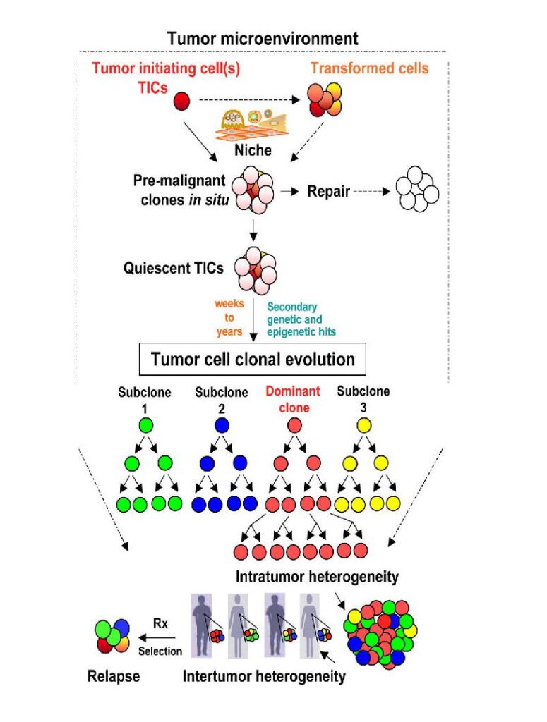 Is Cancer mentioned in Ayurveda or not