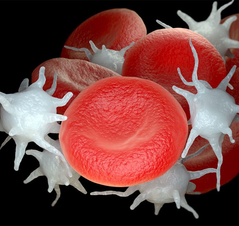 Blood Cancer Treatment in Ayurveda